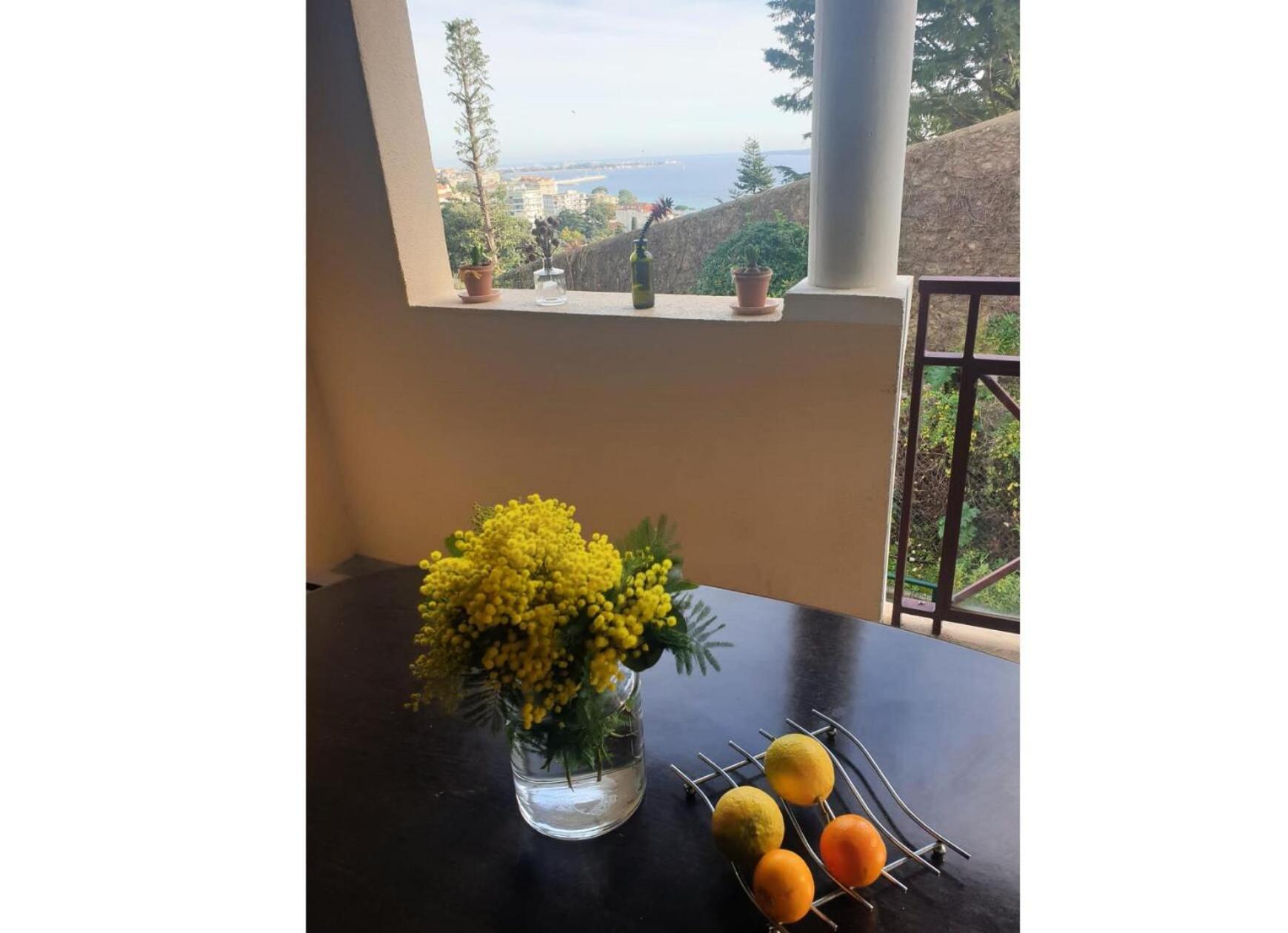 Residence Cannes Villa Francia - Maeva Home - Appartement 2 Pieces 6 Personnes Avec Vue Mer - Selection - Super Home Mae-3641 Ngoại thất bức ảnh